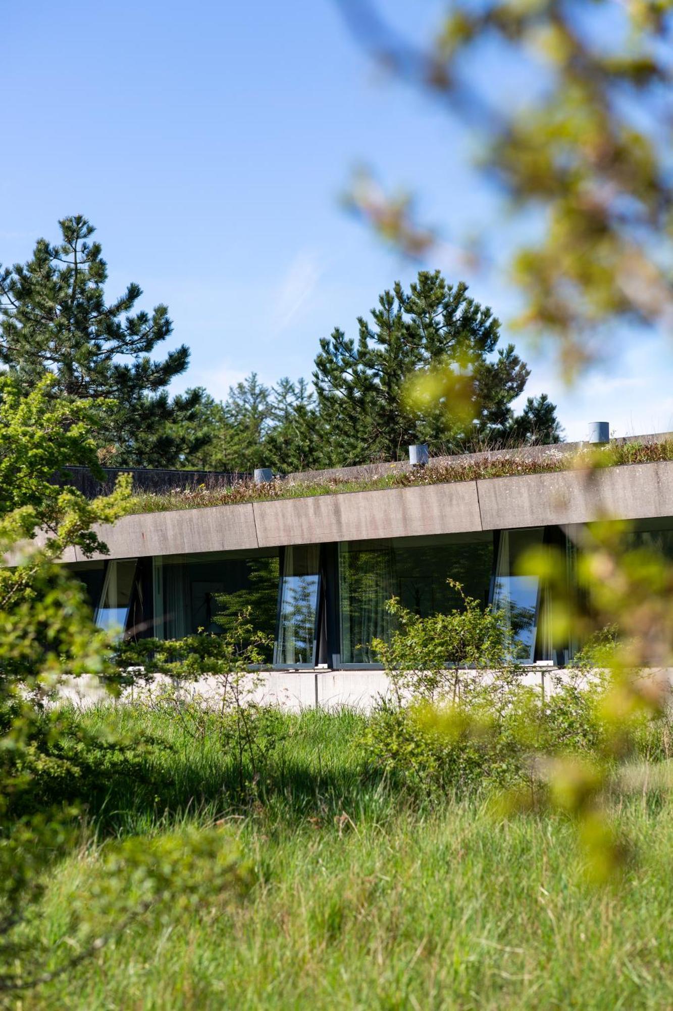 Hotel Toppen Af Ebeltoft Zewnętrze zdjęcie